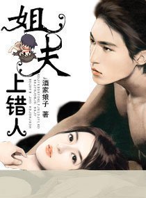 姐夫,上错人